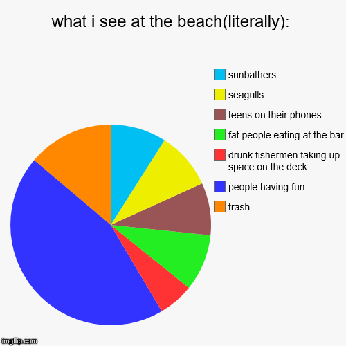 what i see at the beach(literally): | trash, people having fun, drunk fishermen taking up space on the deck, fat people eating at the bar, t | image tagged in funny,pie charts | made w/ Imgflip chart maker