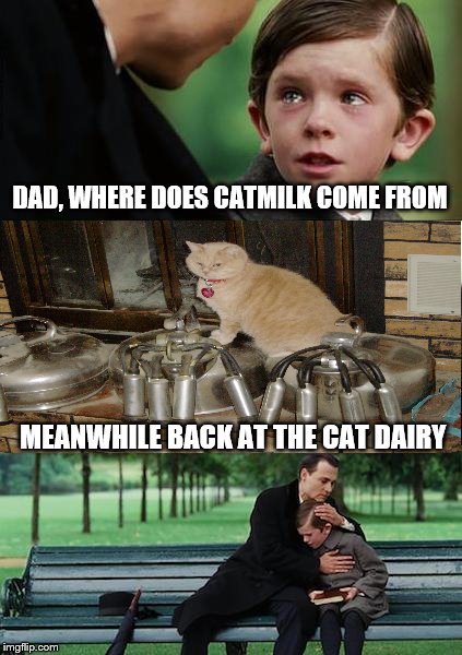 Wife feeds catmilk to cats. Always wondered where it came from. | DAD, WHERE DOES CATMILK COME FROM; MEANWHILE BACK AT THE CAT DAIRY | image tagged in memes,finding neverland,cats,catmilk | made w/ Imgflip meme maker