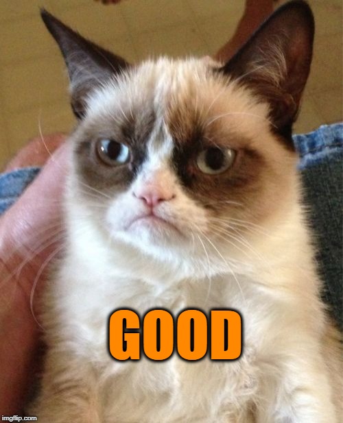 Grumpy Cat Meme | GOOD | image tagged in memes,grumpy cat | made w/ Imgflip meme maker