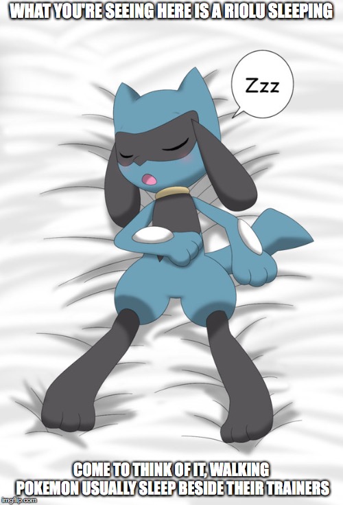 Riolu Sleeping | WHAT YOU'RE SEEING HERE IS A RIOLU SLEEPING; COME TO THINK OF IT, WALKING POKEMON USUALLY SLEEP BESIDE THEIR TRAINERS | image tagged in riolu,sleeping,memes,pokemon | made w/ Imgflip meme maker