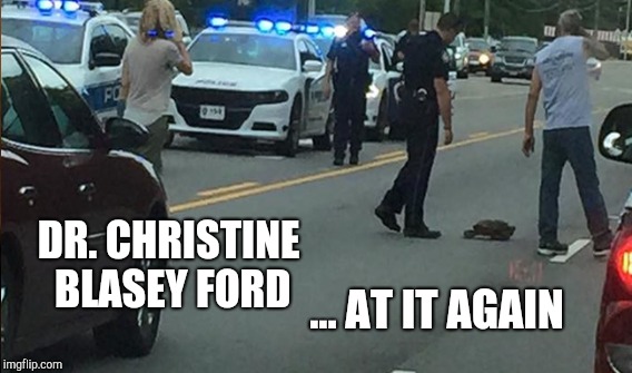 EXPECT DELAYS GOING TO WORK TODAY | DR. CHRISTINE BLASEY FORD; ... AT IT AGAIN | image tagged in funny,memes,gifs,brett kavanaugh | made w/ Imgflip meme maker