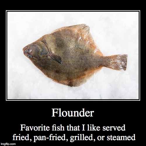 Flounder | image tagged in demotivationals,flounder,fish | made w/ Imgflip demotivational maker