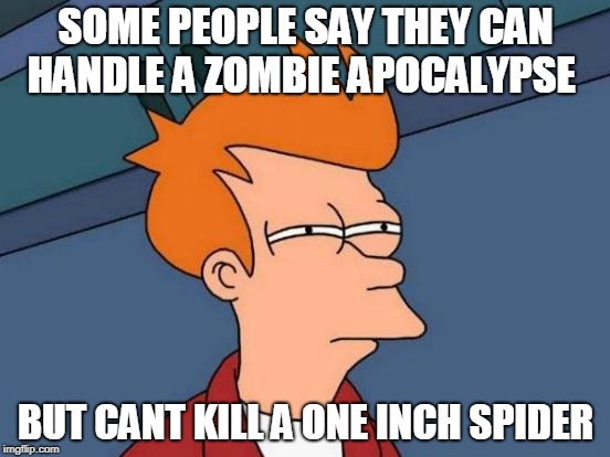 Futurama Fry | SOME PEOPLE SAY THEY CAN HANDLE A ZOMBIE APOCALYPSE; BUT CANT KILL A ONE INCH SPIDER | image tagged in memes,futurama fry | made w/ Imgflip meme maker