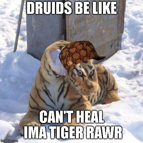 DRUIDS BE LIKE; CAN'T HEAL IMA TIGER RAWR | image tagged in druids be like,scumbag | made w/ Imgflip meme maker
