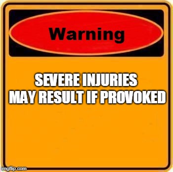 Warning Sign | SEVERE INJURIES MAY RESULT IF PROVOKED | image tagged in memes,warning sign | made w/ Imgflip meme maker