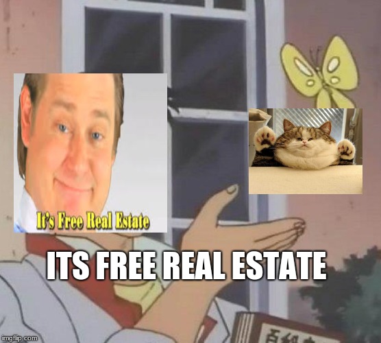 Is This A Pigeon | ITS FREE REAL ESTATE | image tagged in memes,is this a pigeon | made w/ Imgflip meme maker