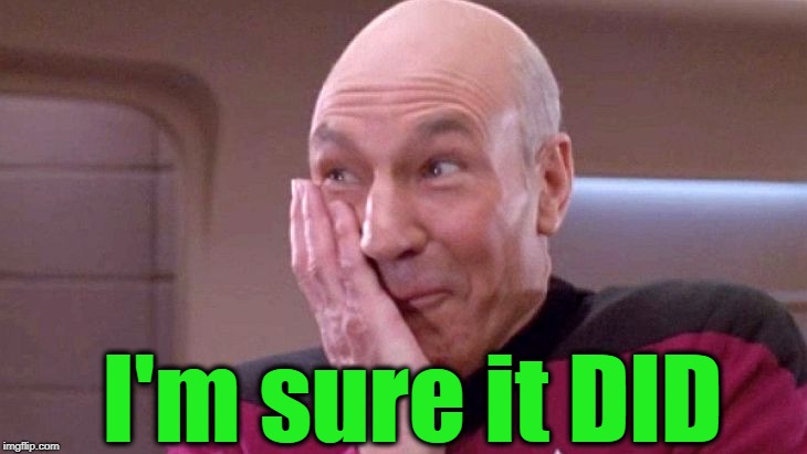 picard grin | I'm sure it DID | image tagged in picard grin | made w/ Imgflip meme maker
