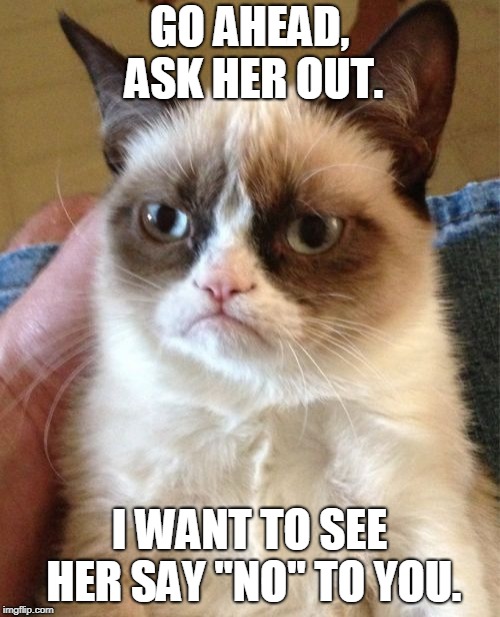 Grumpy Cat Meme | GO AHEAD, ASK HER OUT. I WANT TO SEE HER SAY "NO" TO YOU. | image tagged in memes,grumpy cat | made w/ Imgflip meme maker