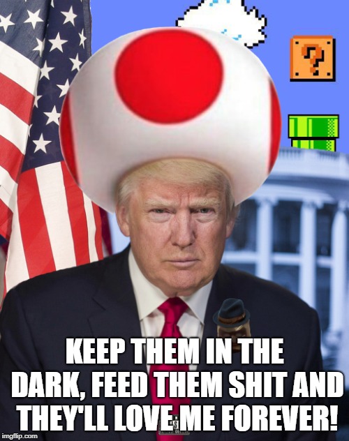 Trump Toad | KEEP THEM IN THE DARK, FEED THEM SHIT AND THEY'LL LOVE ME FOREVER! | image tagged in trump,toad,mushroom | made w/ Imgflip meme maker
