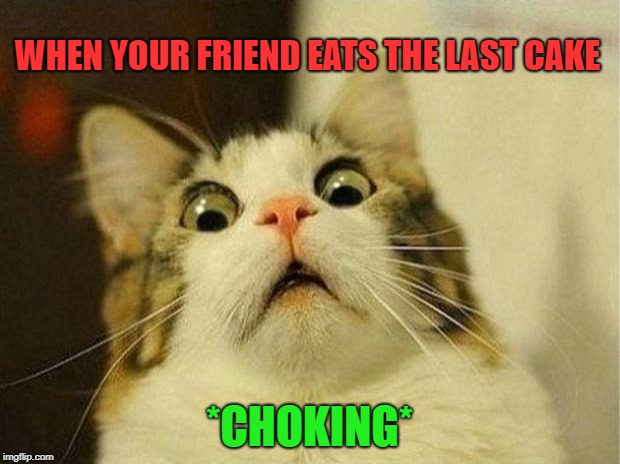 Scared cat | WHEN YOUR FRIEND EATS THE LAST CAKE; *CHOKING* | image tagged in memes,scared cat | made w/ Imgflip meme maker