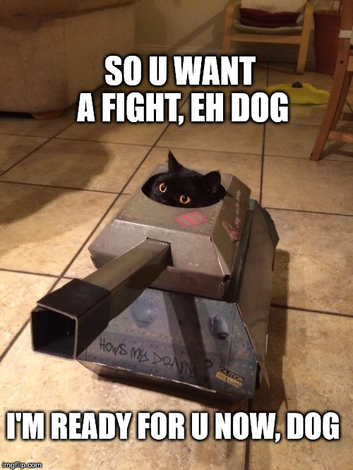 SO U WANT A FIGHT, EH DOG; I'M READY FOR U NOW, DOG | made w/ Imgflip meme maker