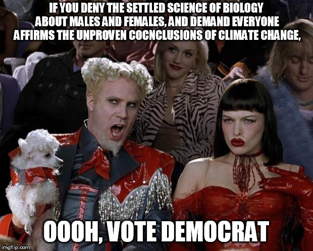 Mugatu So Hot Right Now Meme | IF YOU DENY THE SETTLED SCIENCE OF BIOLOGY ABOUT MALES AND FEMALES, AND DEMAND EVERYONE AFFIRMS THE UNPROVEN COCNCLUSIONS OF CLIMATE CHANGE, OOOH, VOTE DEMOCRAT | image tagged in memes,mugatu so hot right now | made w/ Imgflip meme maker