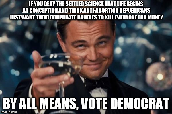 Leonardo Dicaprio Cheers | IF YOU DENY THE SETTLED SCIENCE THAT LIFE BEGINS AT CONCEPTION AND THINK ANTI-ABORTION REPUBLICANS JUST WANT THEIR CORPORATE BUDDIES TO KILL EVERYONE FOR MONEY; BY ALL MEANS, VOTE DEMOCRAT | image tagged in memes,leonardo dicaprio cheers | made w/ Imgflip meme maker