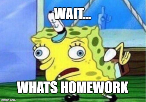 Mocking Spongebob | WAIT... WHATS HOMEWORK | image tagged in memes,mocking spongebob | made w/ Imgflip meme maker