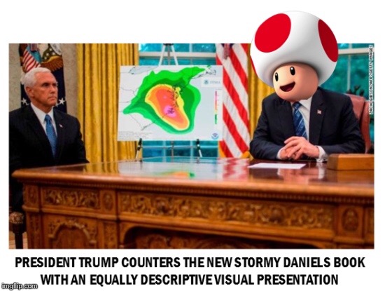 Stormy | image tagged in stormy daniels | made w/ Imgflip meme maker