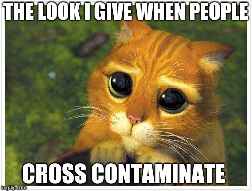 Shrek Cat | THE LOOK I GIVE WHEN PEOPLE; CROSS CONTAMINATE | image tagged in memes,shrek cat | made w/ Imgflip meme maker