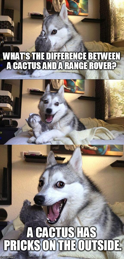Bad Pun Dog | WHAT'S THE DIFFERENCE BETWEEN A CACTUS AND A RANGE ROVER? A CACTUS HAS PRICKS ON THE OUTSIDE. | image tagged in memes,bad pun dog | made w/ Imgflip meme maker