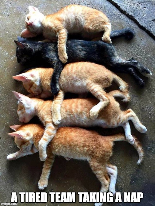 Teamwork | A TIRED TEAM TAKING A NAP | image tagged in memes | made w/ Imgflip meme maker
