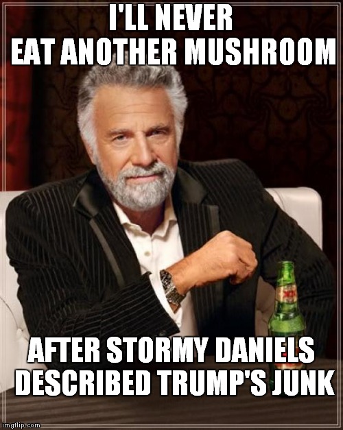 Poison Mushrooms! | I'LL NEVER EAT ANOTHER MUSHROOM; AFTER STORMY DANIELS DESCRIBED TRUMP'S JUNK | image tagged in memes,the most interesting man in the world,donald trump | made w/ Imgflip meme maker