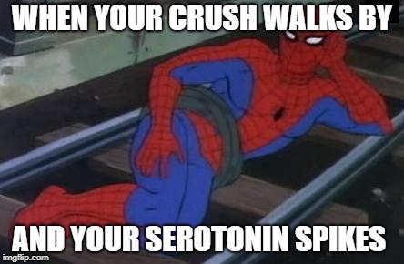 Sexy Railroad Spiderman Meme | WHEN YOUR CRUSH WALKS BY; AND YOUR SEROTONIN SPIKES | image tagged in memes,sexy railroad spiderman,spiderman | made w/ Imgflip meme maker