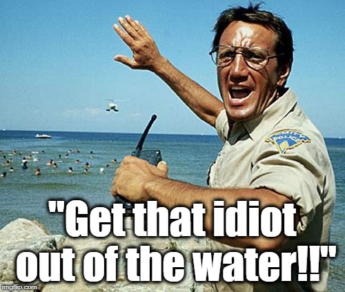 "Get that idiot out of the water!!" | made w/ Imgflip meme maker