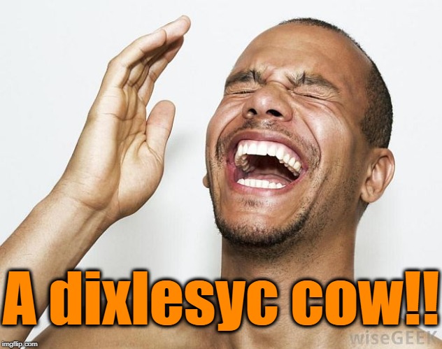 lol | A dixlesyc cow!! | image tagged in lol | made w/ Imgflip meme maker