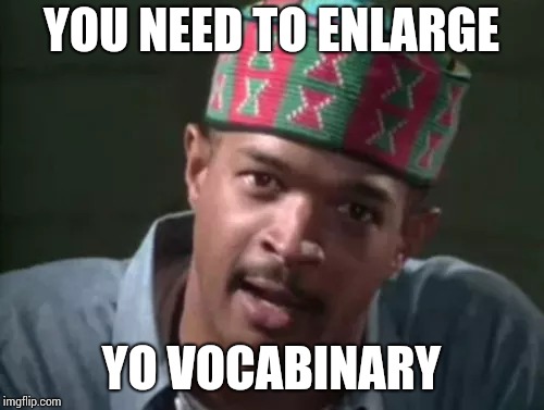 YOU NEED TO ENLARGE YO VOCABINARY | made w/ Imgflip meme maker