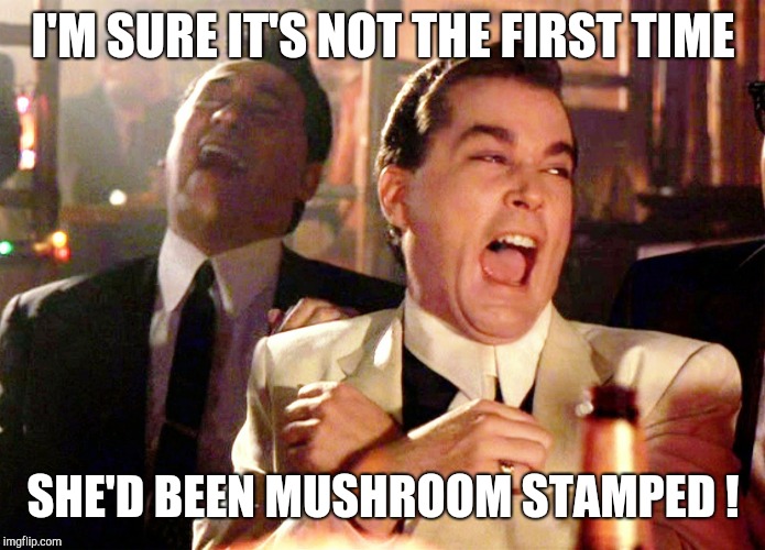 Good Fellas Hilarious Meme | I'M SURE IT'S NOT THE FIRST TIME SHE'D BEEN MUSHROOM STAMPED ! | image tagged in memes,good fellas hilarious | made w/ Imgflip meme maker