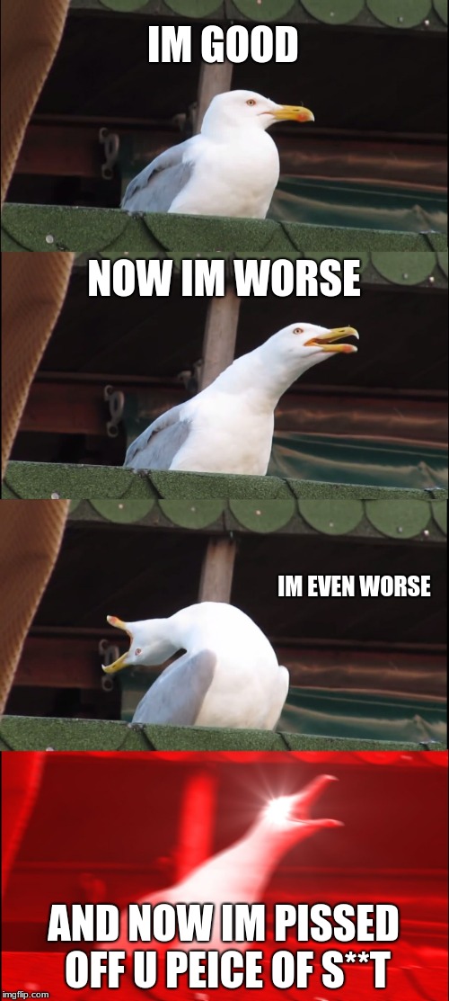 Inhaling Seagull | IM GOOD; NOW IM WORSE; IM EVEN WORSE; AND NOW IM PISSED OFF U PEICE OF S**T | image tagged in memes,inhaling seagull | made w/ Imgflip meme maker