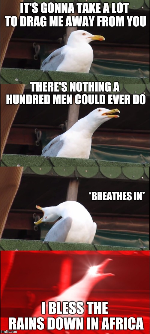 Inhaling Seagull | IT'S GONNA TAKE A LOT TO DRAG ME AWAY FROM YOU; THERE'S NOTHING A HUNDRED MEN COULD EVER DO; *BREATHES IN*; I BLESS THE RAINS DOWN IN AFRICA | image tagged in memes,inhaling seagull | made w/ Imgflip meme maker