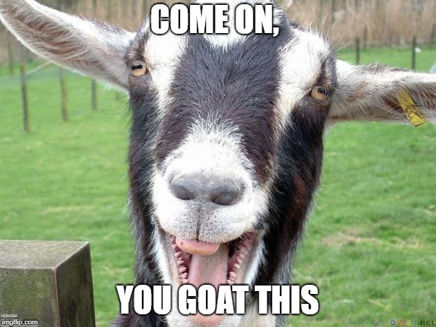 Funny Goat | COME ON, YOU GOAT THIS | image tagged in funny goat | made w/ Imgflip meme maker