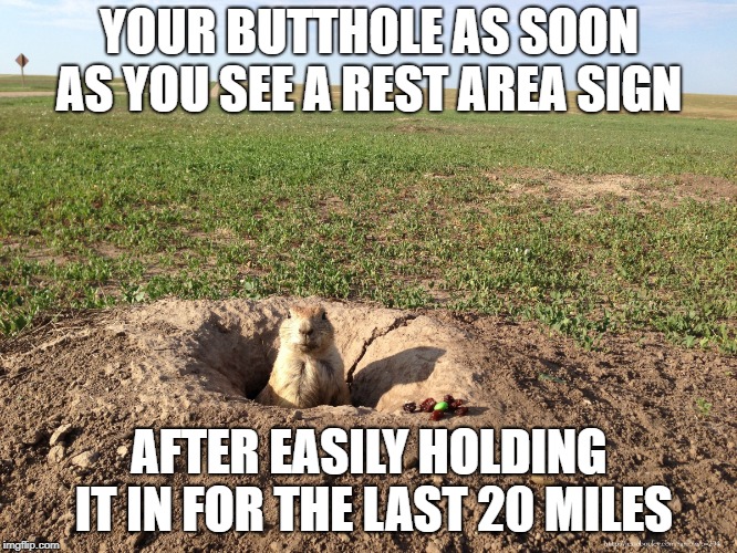 Prairie Doggin' | YOUR BUTTHOLE AS SOON AS YOU SEE A REST AREA SIGN; AFTER EASILY HOLDING IT IN FOR THE LAST 20 MILES | image tagged in prairie dog,poop,rest area,gotta go,number two | made w/ Imgflip meme maker