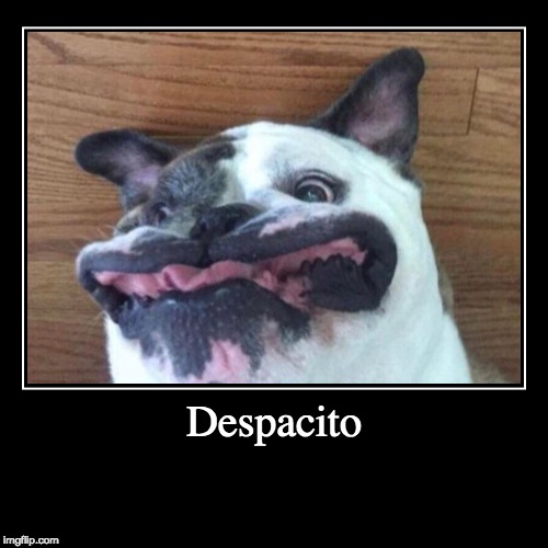 ... | image tagged in demotivationals,not funny,stop it,despacito | made w/ Imgflip demotivational maker