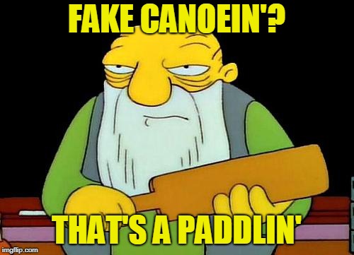 That's a paddlin' Meme | FAKE CANOEIN'? THAT'S A PADDLIN' | image tagged in memes,that's a paddlin' | made w/ Imgflip meme maker