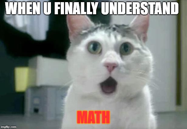 OMG Cat | WHEN U FINALLY UNDERSTAND; MATH | image tagged in memes,omg cat | made w/ Imgflip meme maker