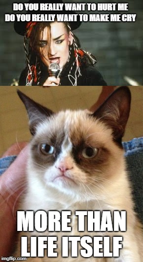 DO YOU REALLY WANT TO HURT ME DO YOU REALLY WANT TO MAKE ME CRY; MORE THAN LIFE ITSELF | image tagged in funny,boy george,grumpy cat,song lyrics | made w/ Imgflip meme maker