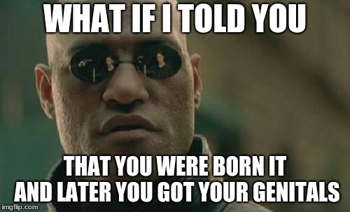 If you took basic health education you should know unless your a hard on religious person unless you're in the country | WHAT IF I TOLD YOU; THAT YOU WERE BORN IT AND LATER YOU GOT YOUR GENITALS | image tagged in memes,matrix morpheus,biology | made w/ Imgflip meme maker