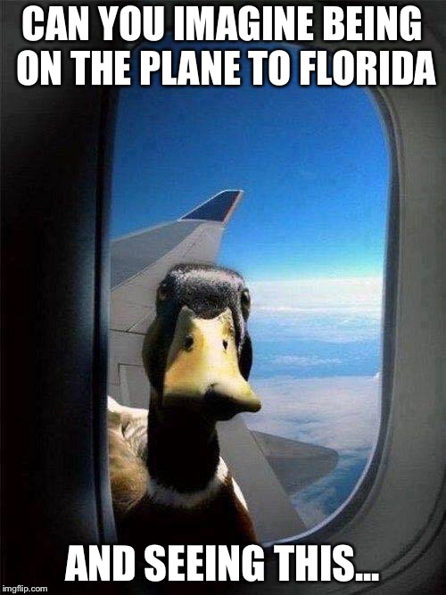 Western Airlines... the OOOoooonly way to fly! | CAN YOU IMAGINE BEING ON THE PLANE TO FLORIDA; AND SEEING THIS... | image tagged in western airlines the ooooooonly way to fly | made w/ Imgflip meme maker