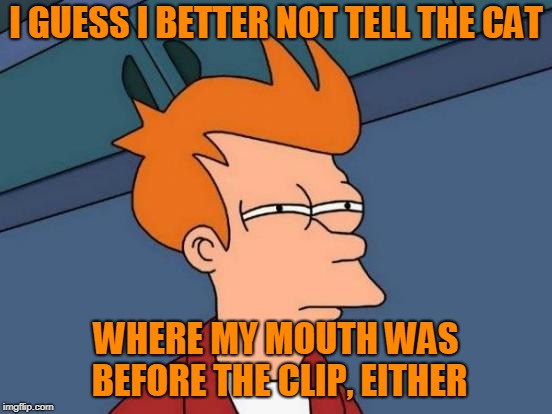 Futurama Fry Meme | I GUESS I BETTER NOT TELL THE CAT WHERE MY MOUTH WAS BEFORE THE CLIP, EITHER | image tagged in memes,futurama fry | made w/ Imgflip meme maker