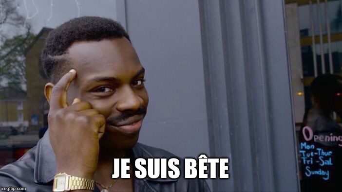 Roll Safe Think About It Meme | JE SUIS BÊTE | image tagged in memes,roll safe think about it | made w/ Imgflip meme maker