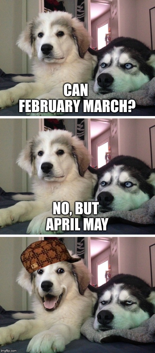 Bad pun dogs | CAN FEBRUARY MARCH? NO, BUT APRIL MAY | image tagged in bad pun dogs,scumbag | made w/ Imgflip meme maker