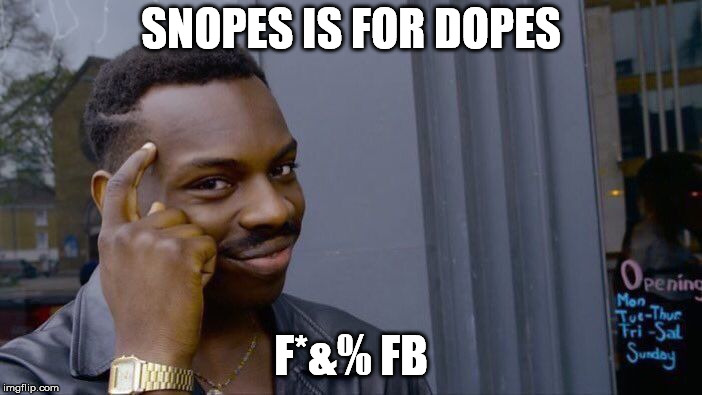 Roll Safe Think About It Meme | SNOPES IS FOR DOPES; F*&% FB | image tagged in memes,roll safe think about it | made w/ Imgflip meme maker