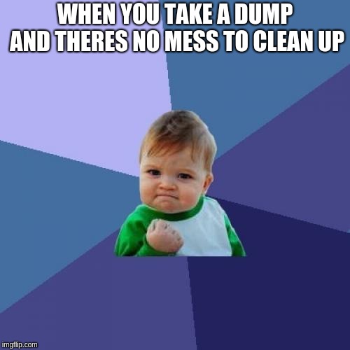 Success Kid | WHEN YOU TAKE A DUMP AND THERES NO MESS TO CLEAN UP | image tagged in memes,success kid | made w/ Imgflip meme maker