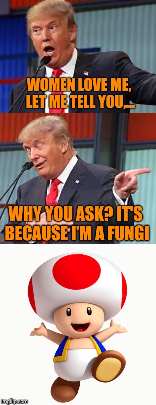 There are no words,... | WOMEN LOVE ME, LET ME TELL YOU,... WHY YOU ASK? IT'S BECAUSE I'M A FUNGI | image tagged in bad pun trump,sewmyeyesshut,funny,memes,toad | made w/ Imgflip meme maker