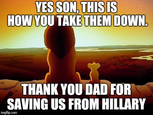 Lion King Meme | YES SON, THIS IS HOW YOU TAKE THEM DOWN. THANK YOU DAD FOR SAVING US FROM HILLARY | image tagged in memes,lion king | made w/ Imgflip meme maker