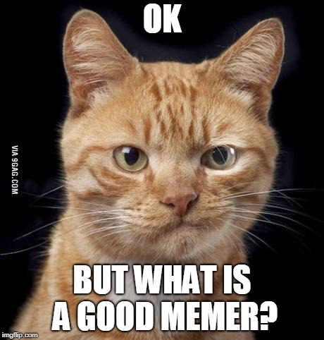 Doubting Cat | OK BUT WHAT IS A GOOD MEMER? | image tagged in doubting cat | made w/ Imgflip meme maker