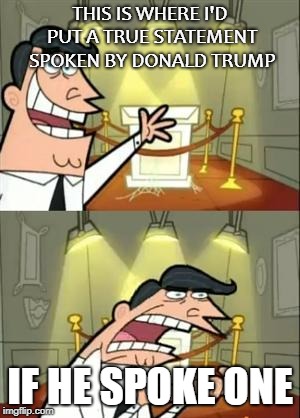 Truth........................................ | THIS IS WHERE I'D PUT A TRUE STATEMENT SPOKEN BY DONALD TRUMP; IF HE SPOKE ONE | image tagged in memes,this is where i'd put my trophy if i had one,donald trump,trump,liar | made w/ Imgflip meme maker