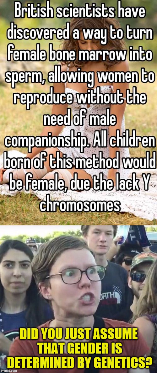 What happened to diversity and gender identity? | DID YOU JUST ASSUME THAT GENDER IS DETERMINED BY GENETICS? | image tagged in memes,triggered feminist,babies,gender,feminism | made w/ Imgflip meme maker