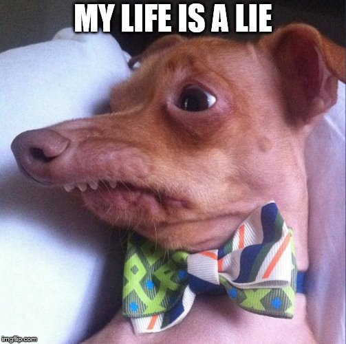 Tuna the dog (Phteven) | MY LIFE IS A LIE | image tagged in tuna the dog phteven | made w/ Imgflip meme maker