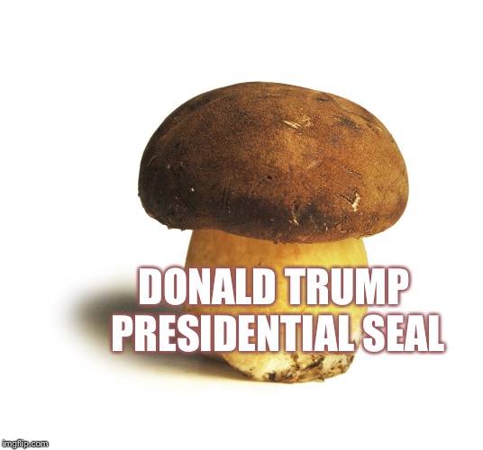 DONALD TRUMP PRESIDENTIAL SEAL | image tagged in donald trump | made w/ Imgflip meme maker